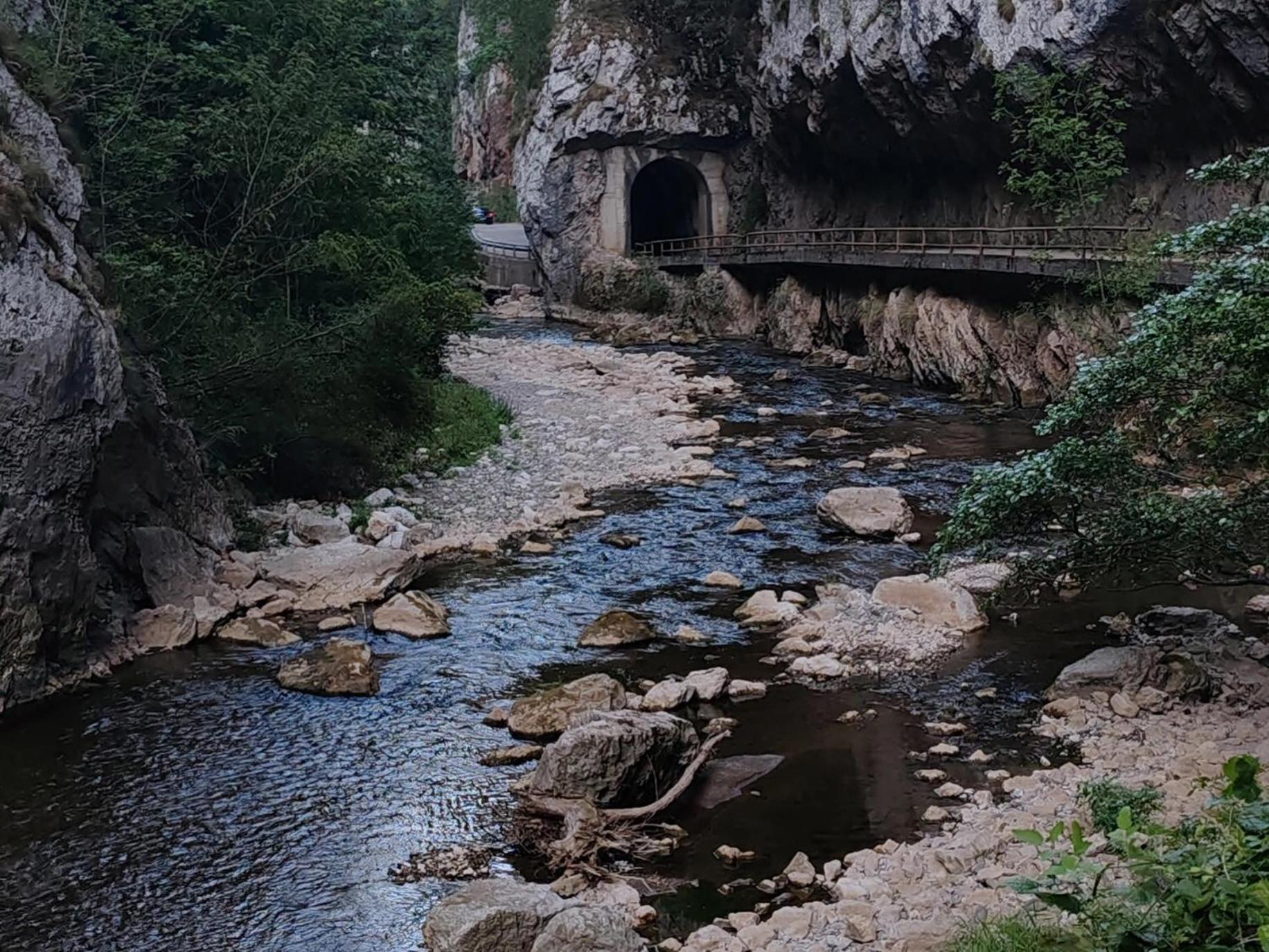 Отель Juzni Vetar Trnski Odorovci Экстерьер фото